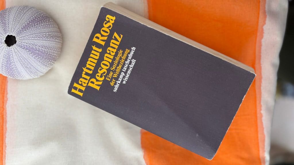Buch Hartmut Rosa auf orange weiß gestreiften Tuch